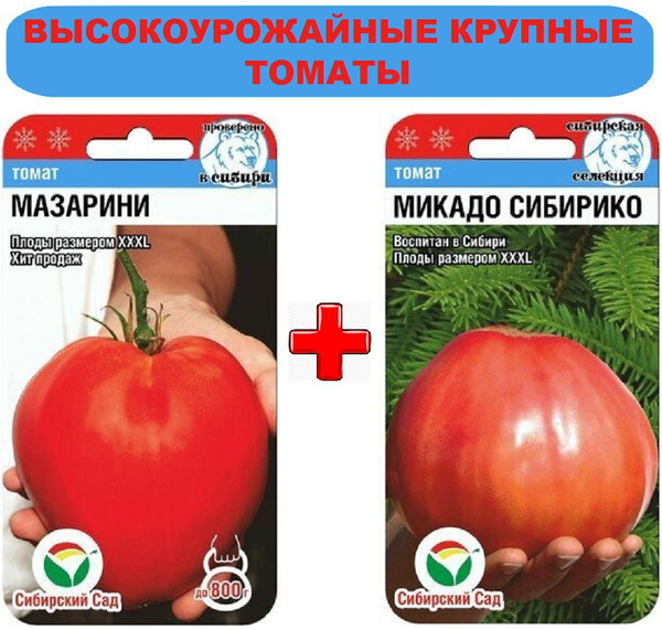 Томаты Селекционер Мязина Л.А. Огурец Эскимос F1_розовый - купить по выгодным це