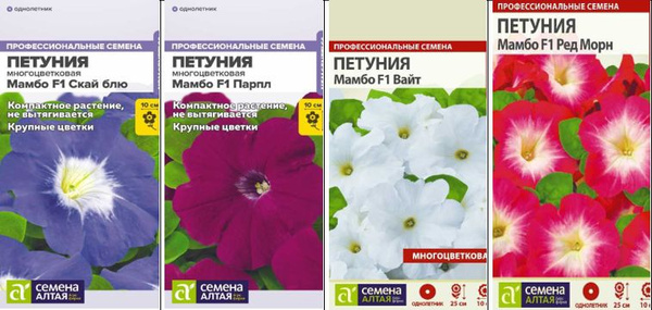Петуния афродита розовая f1. Семена алтая петуния лимбо роуз. Петуния семена алтая. Петуния суперкаскадная семена алтая. Петуния семена алтая.