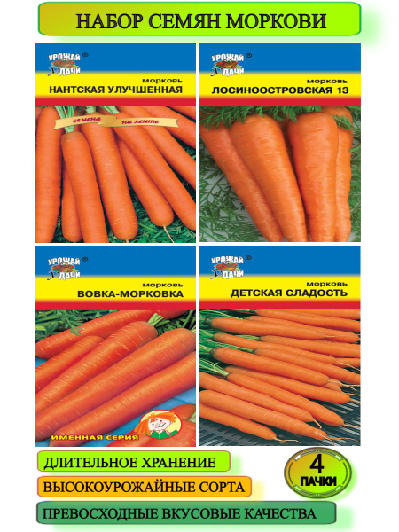 Морковь Урожай удачи Дивный сад - купить по выгодным ценам винтернет-магазине OZON (863945405)