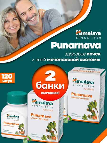 Пищевая добавка PUNARNAVA (Пунарнава) при заболеваниях мочеполовой ...