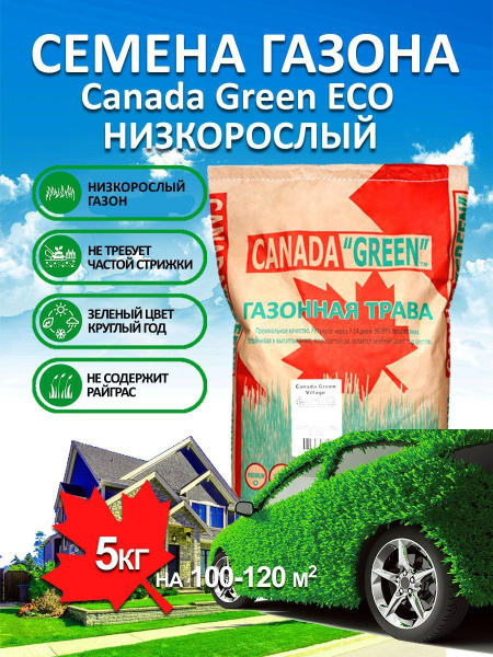 Газонные травы, Различные травы Canada Green Газон Низкорослый ЭКО_1 ...
