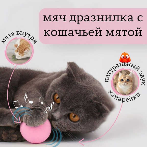 Характеристики Интерактивный мячик для кошек, со звуком птички, цвет ...