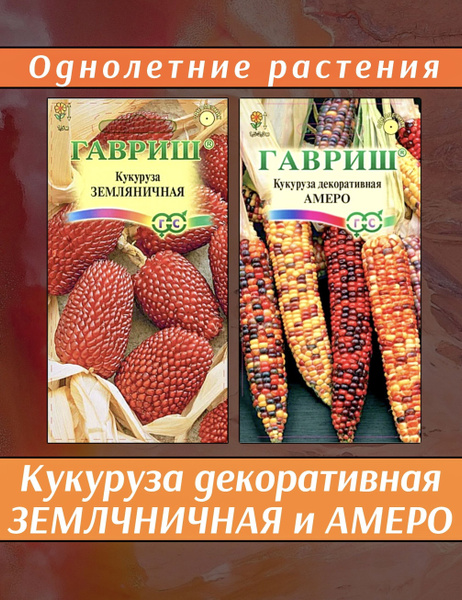 Гавриш Кукуруза декоративная Амеро и Земляничная - купить по выгодным ...
