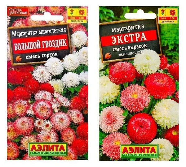 Маргаритки Агрофирма Аэлита цветы - купить по выгодным ценам в интернет ...
