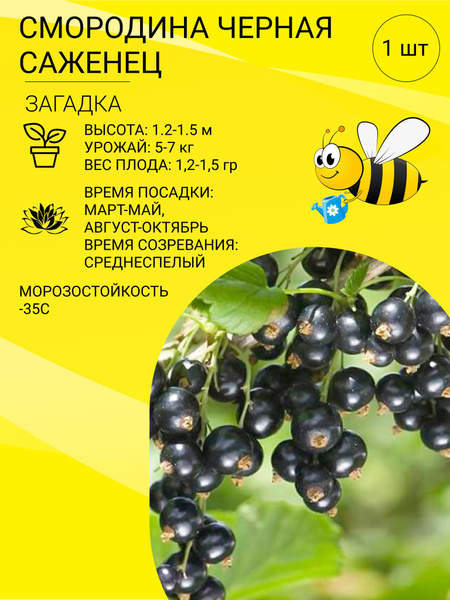 ДОБРЫНЯ - Товар на картинке можно купить.