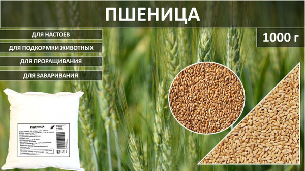 Пшеница универсальная для проращивания, настоев. микрозелени 1 кг ...