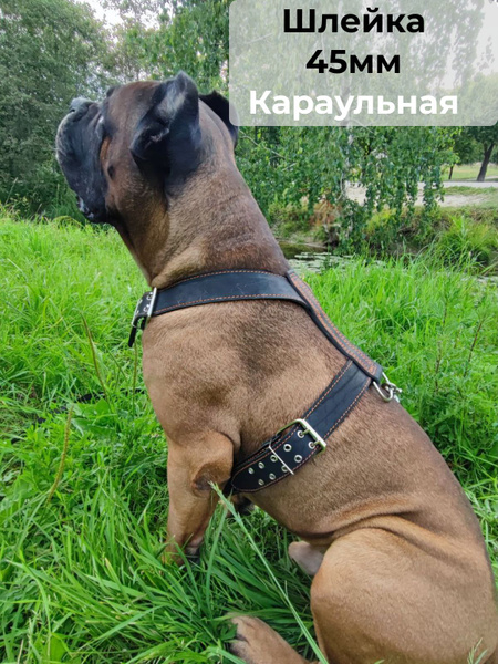 Шлейка караульная прогулочная кожаная для собак крупных пород - купить ...