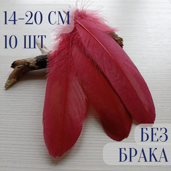 Гусиные перья для творчества и рукоделия. Винные. 10 шт. 10-20 см ...