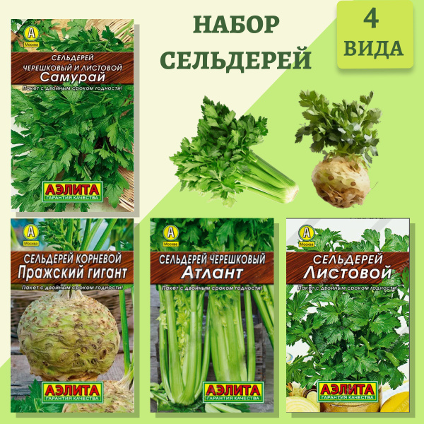 Сельдерей Аэлита ов 4 - купить по выгодным ценам в интернет-магазине ...