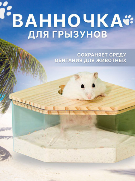 купалка для хомяка купить на OZON по низкой цене (1198880374)