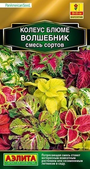 Колеусы Аэлита Комнатные Мир семян - купить по выгодным ценам в ...