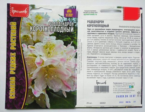 Рододендроны Григорьев Гортензия "Дуболистная"_светло-розовый - купить ...