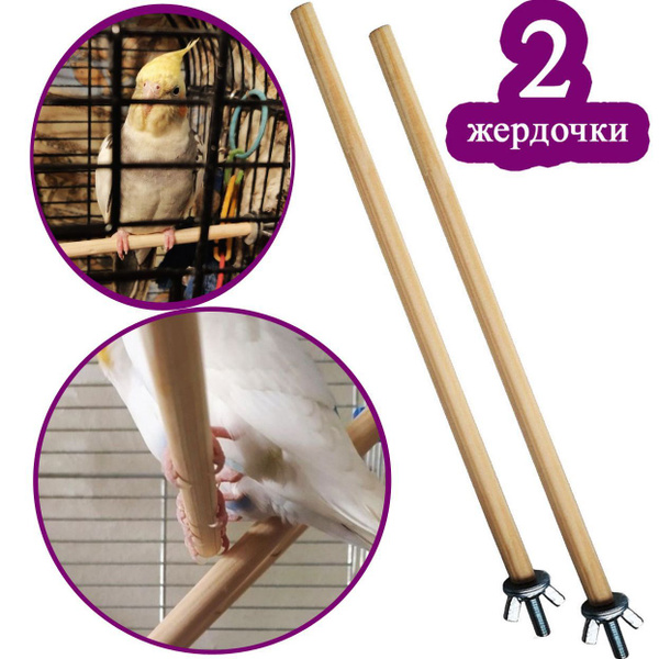 Жердочки для попугаев - купить с доставкой по выгодным ценам в интернет ...