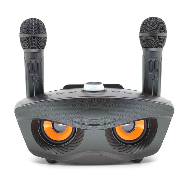 Караоке система для дома с двумя микрофонами Сова SDRD SD-306 20 вт, с ...