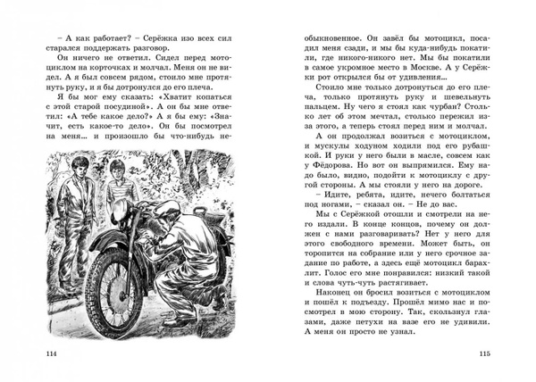 Путешественник с багажом | Железняков Владимир Карпович - купить с ...