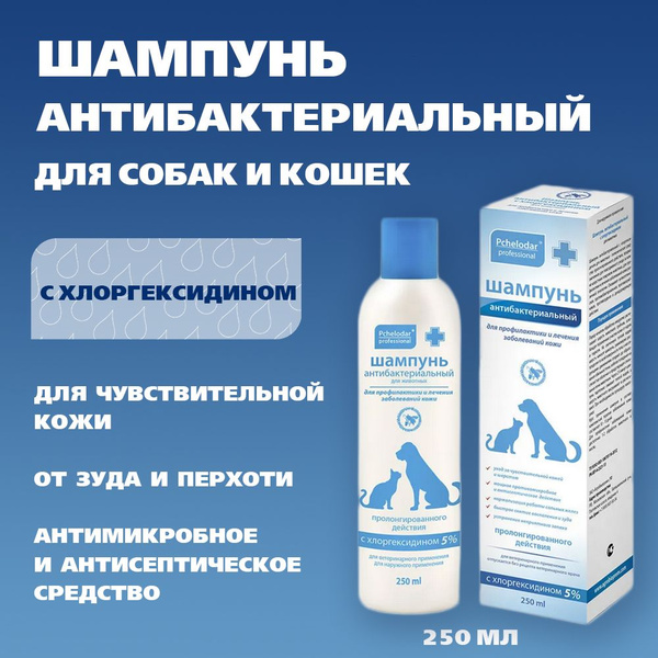Шампунь Пчелодар Антибактериальный, с хлоргексидином 5%, вет - купить с  доставкой по выгодным ценам в интернет-магазине OZON (1115449198)