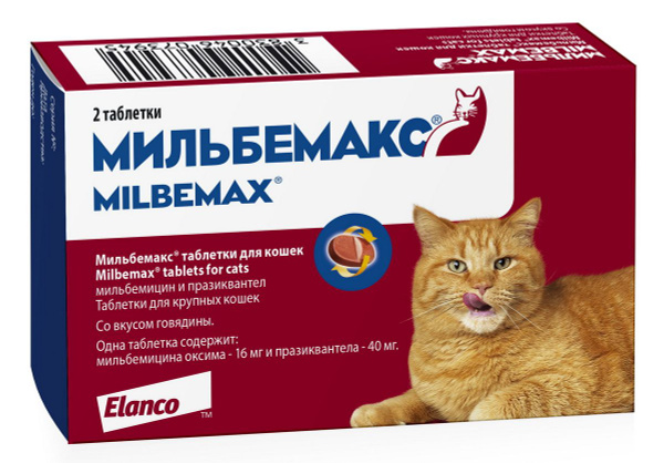 Таблетки от глистов кошкам
