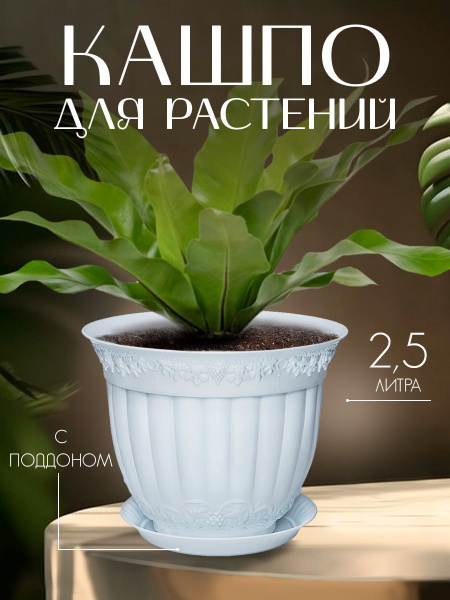 Горшок , кашпо для цветов, орхидеи, суккулентов, кактусов, фиалок ...