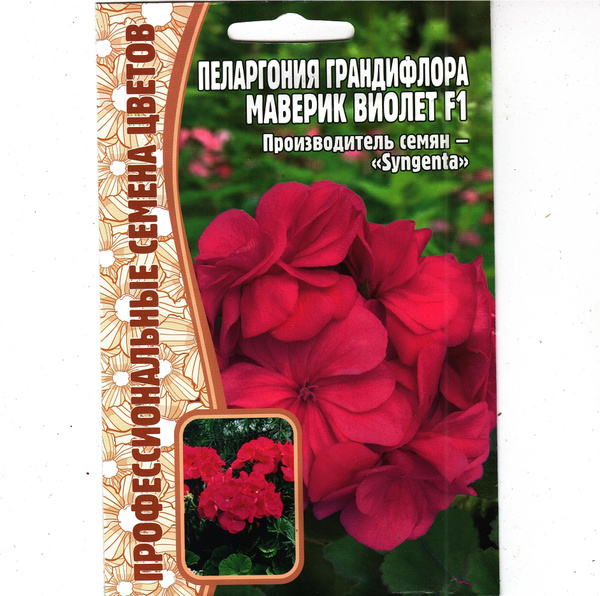 Пеларгонии (Герань) Григорьев комнатные - купить по выгодным ценам в ...
