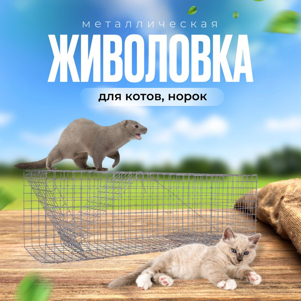 Котоловка 25*25*80 см - купить с доставкой по выгодным ценам в интернет ...