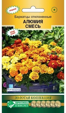 Бархатцы Евросемена Бархатцы - купить по выгодным ценам в интернет ...