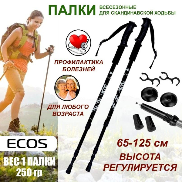 Палки для скандинавской ходьбы всесезонные ECOS Nordic Walking sticks