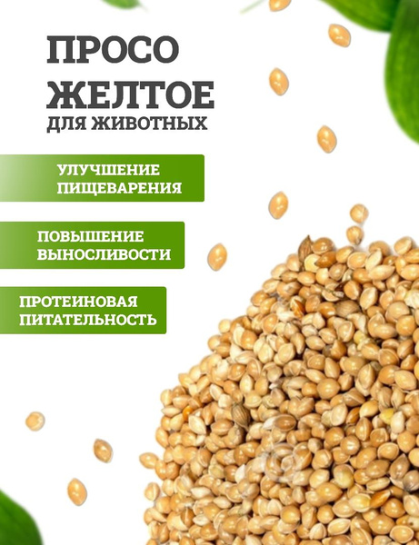 Просо желтое для птиц кормовая добавка 10 кг купить на OZON по низкой ...