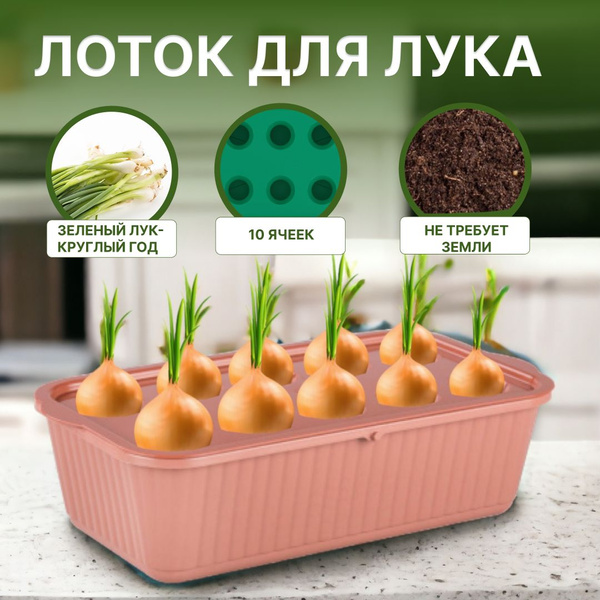 Характеристики Лоток для выращивания зеленого лука 10 ячеек, ящик для ...