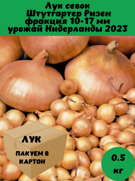 Лук-севок Шетана 0,5 кг Счастье фермера 151464372 купить за 380 ₽ в интернет-маг