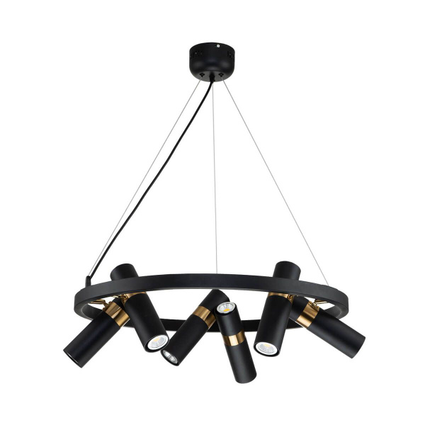 Подвесная люстра потолочная точечная Favourite Light Point 2997-6P ...