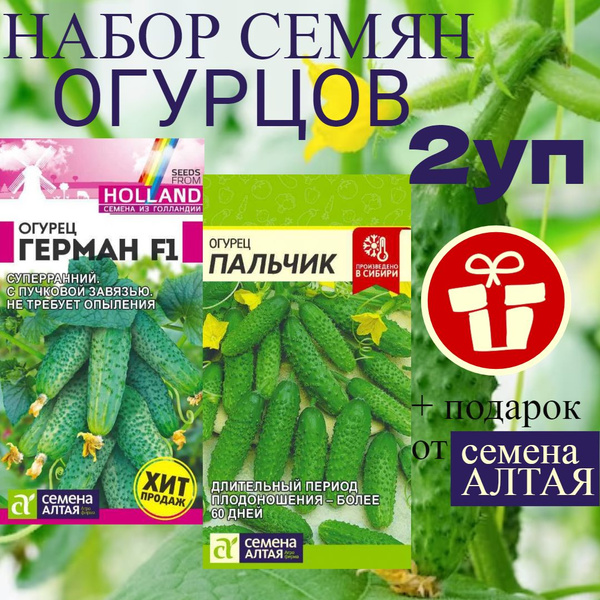 Огурцы Семена Алтая набор огурцы - купить по выгодным ценам в интернет ...