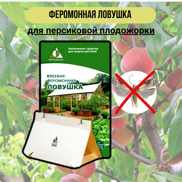 Феромонная ловушка для персиковой плодожорки - купить с доставкой по ...