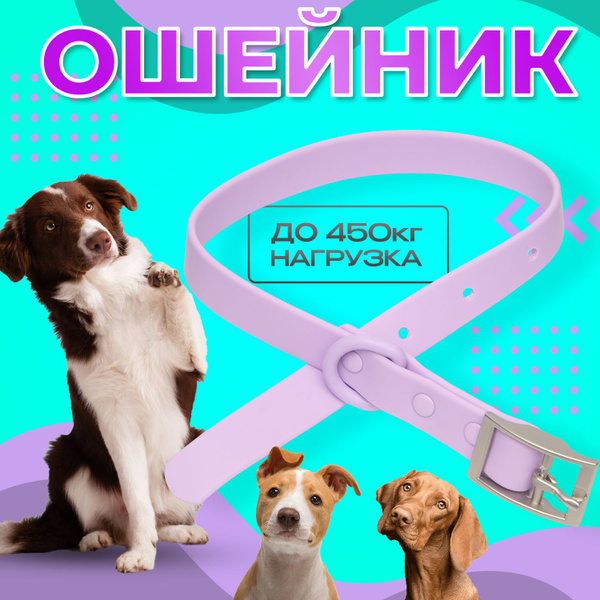 Ошейник биотановый для собак мелких пород - купить с доставкой по ...