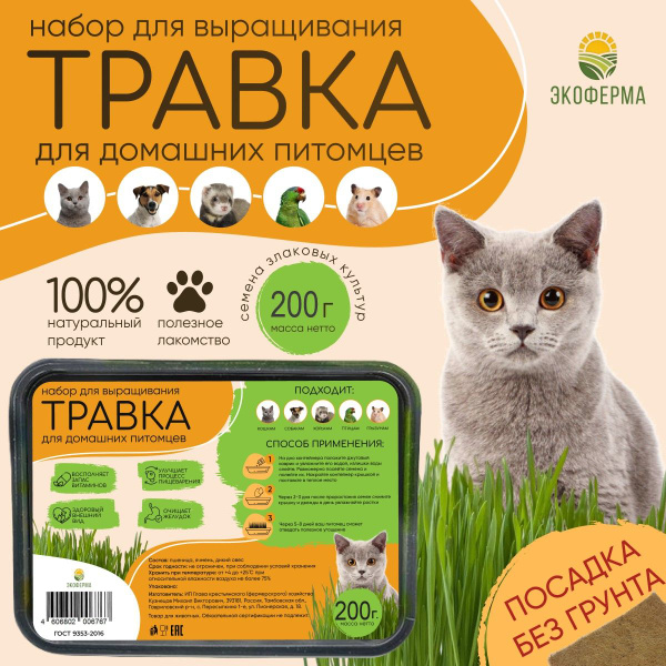 Трава для кошек в лотке, 6 посадок, 3 злака, 200 гр. - купить с ...