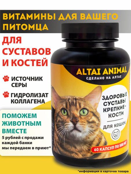 Витамины для кошек для суставов и связок - Комплекс Здоровые суставы ...