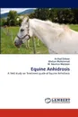 Equine Anhidrosis - Arshad Zahoor, Ghulam Muhammad, M. Nauman Manzoor