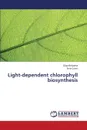 Light-Dependent Chlorophyll Biosynthesis - Belyaeva Olga, Litvin Felix