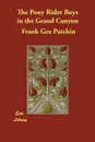 The Pony Rider Boys in the Grand Canyon - Frank Gee Patchin