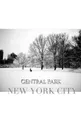 central park New York City Winter wonderland blank journal - Sir Michael Huhn