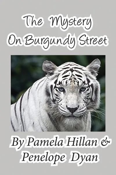 Обложка книги The Mystery on Burgundy Street, Pamela Hillan, Penelope Dyan