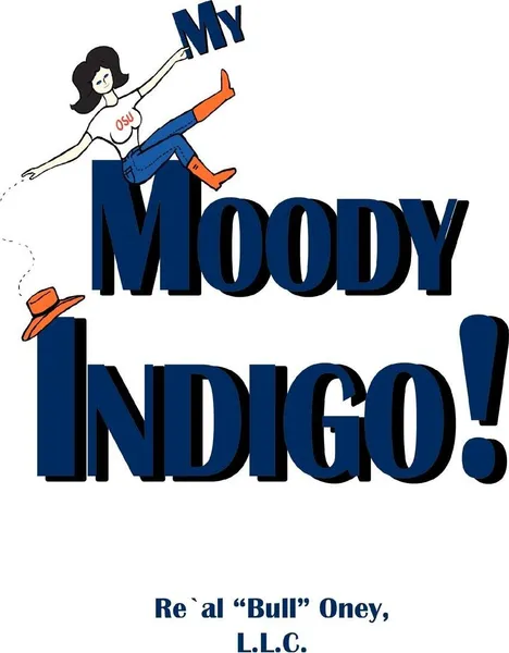 Обложка книги My Moody Indigo!, L.L.C. Re'Al 