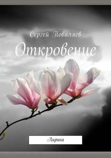 Обложка книги Откровение, Сергей Поваляев