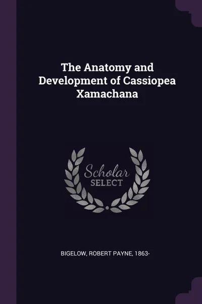 Обложка книги The Anatomy and Development of Cassiopea Xamachana, Robert Payne Bigelow