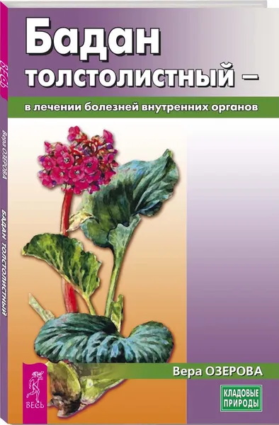 Обложка книги Бадан толстолистный - в лечении болезней внутренних органов, Озерова Вера