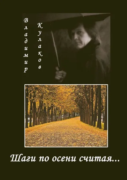 Обложка книги Шаги по осени считая, Владимир Кулаков