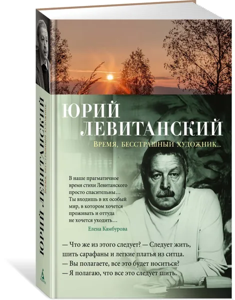 Обложка книги Время, бесстрашный художник..., Левитанский Юрий