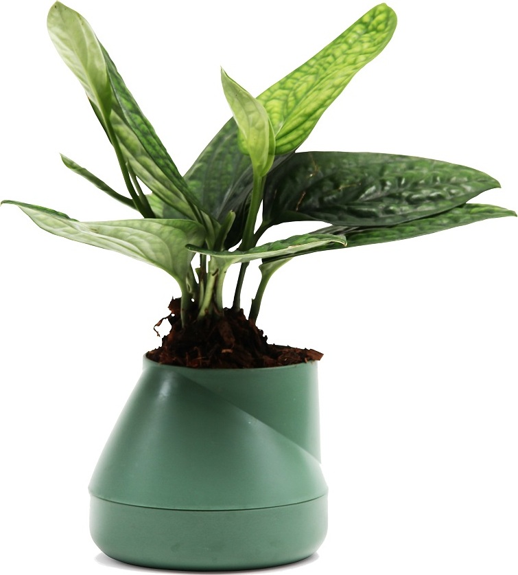 фото Горшок цветочный Qualy Hill Pot, маленький, зеленый