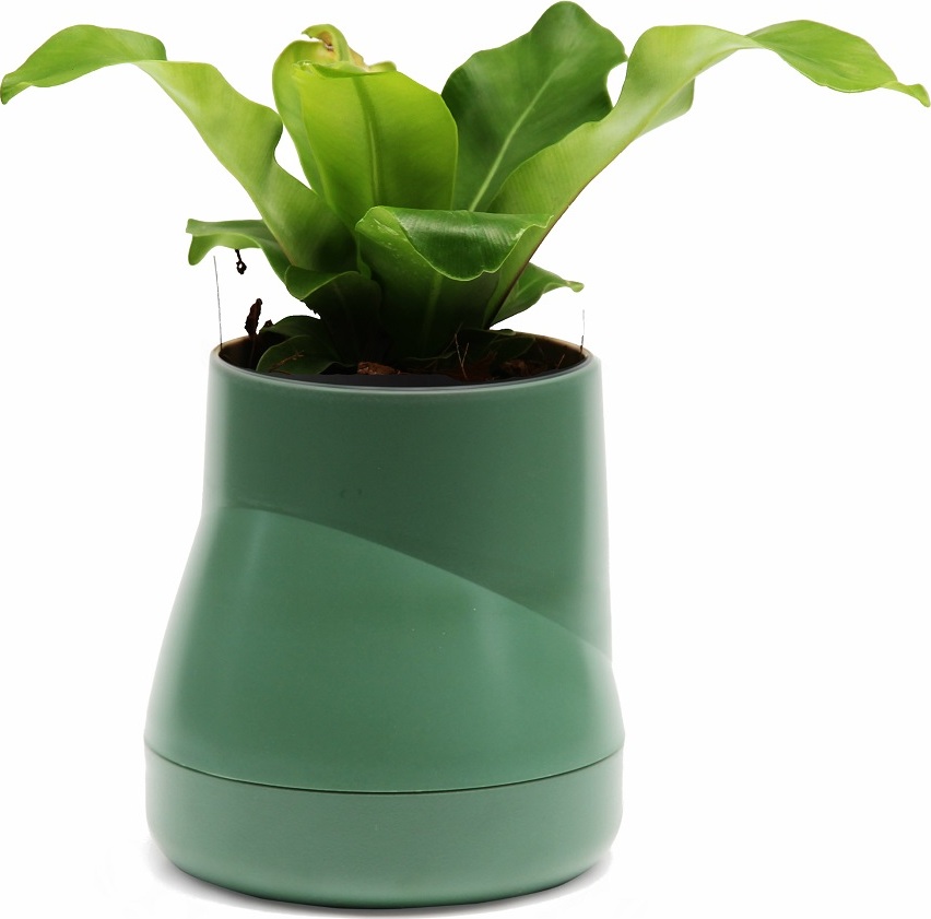 фото Горшок цветочный Qualy Hill Pot, большой, зеленый