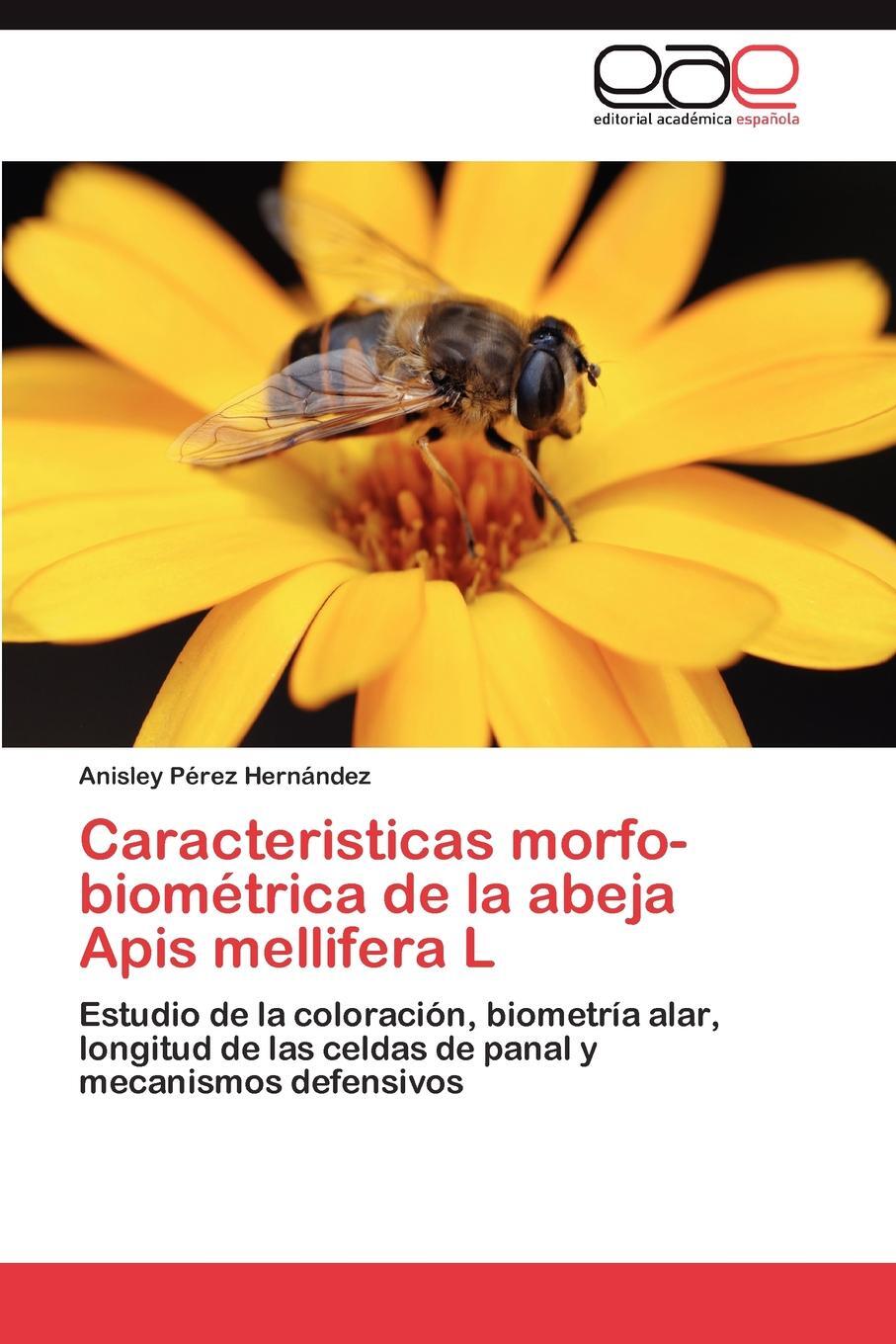 фото Caracteristicas Morfo-Biometrica de La Abeja APIs Mellifera L