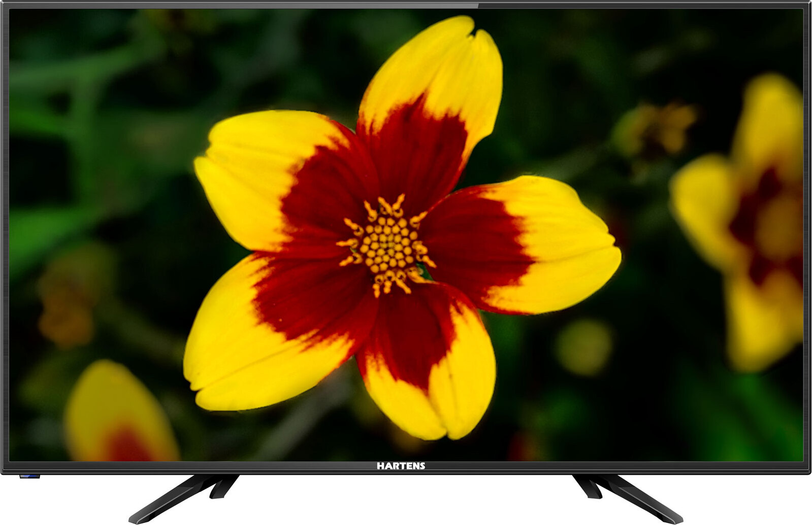 фото Телевизор Hartens HTV-40F01-T2C 40", черный